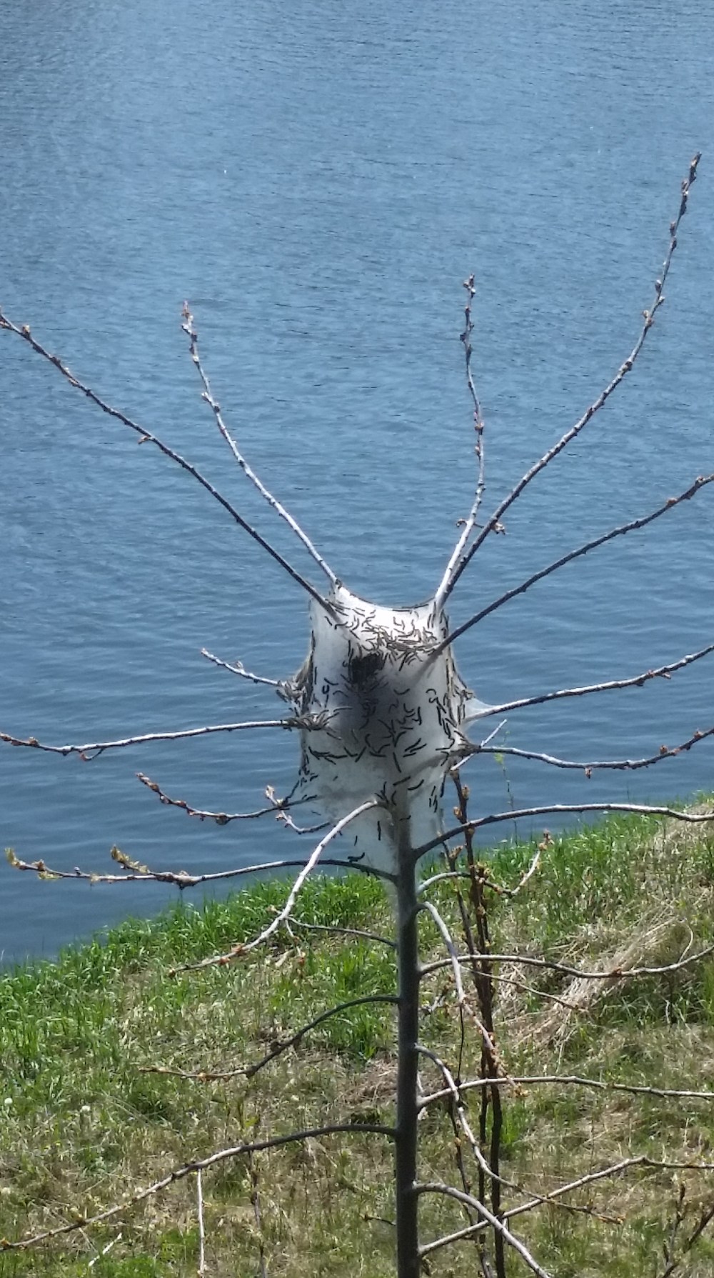 20160511_134127.jpg