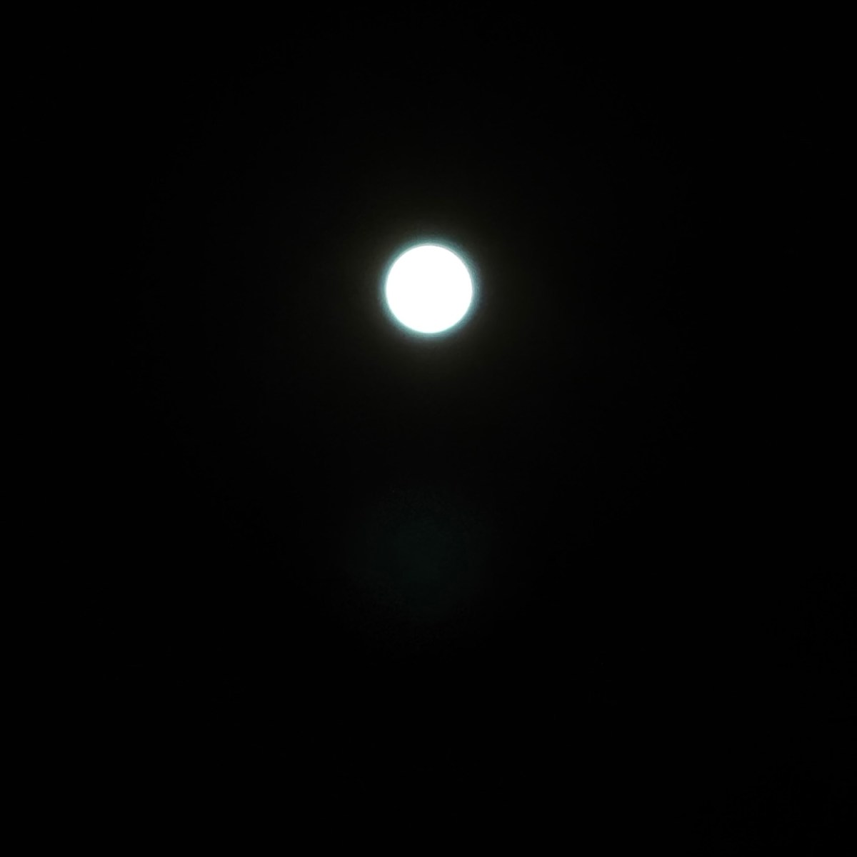 Moonlight Covering